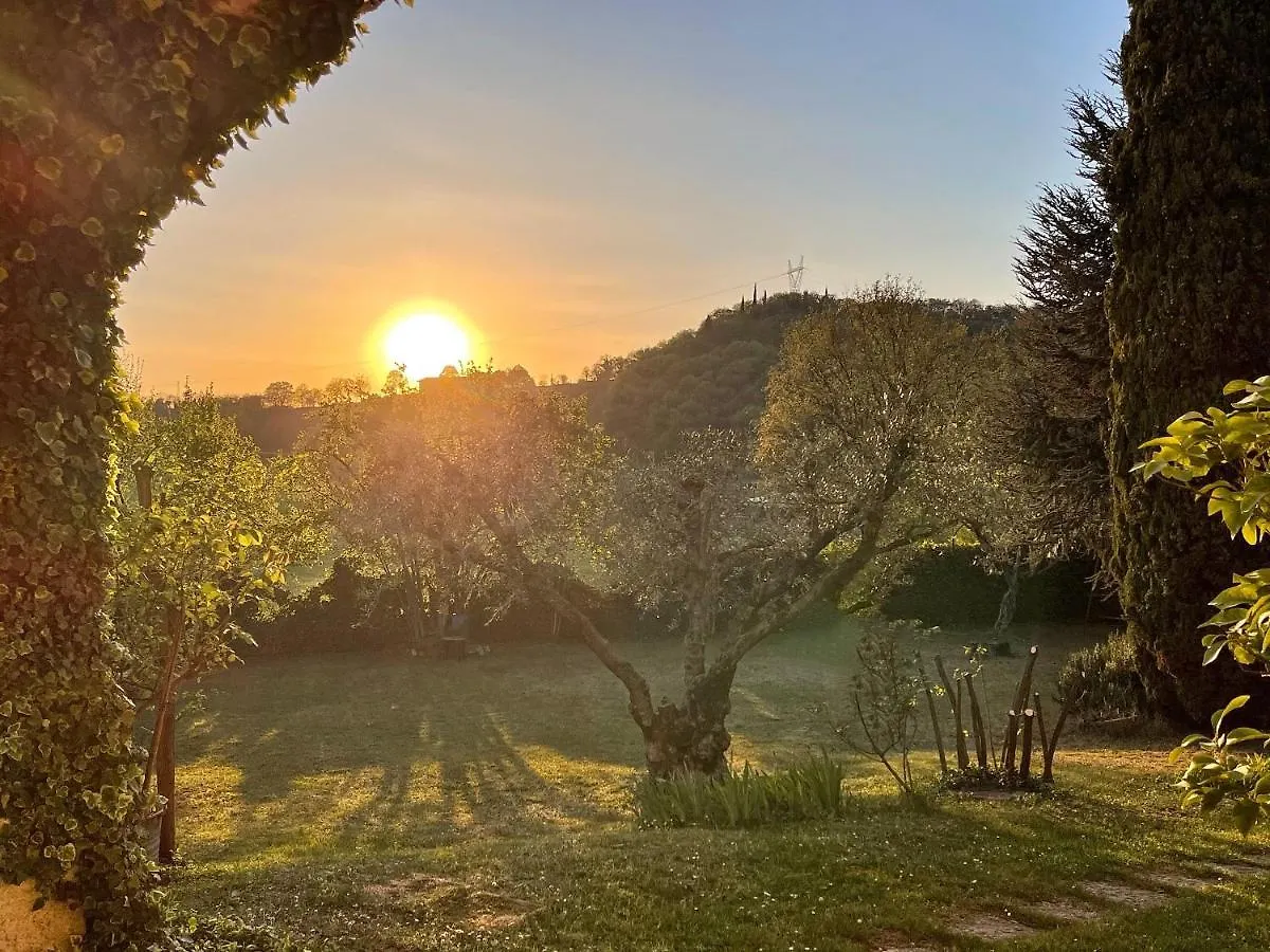 Chicco Di Oliva Villa Padenghe sul Garda Italy